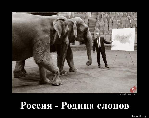А скрепы-то работают! Россия - Родина слонов!