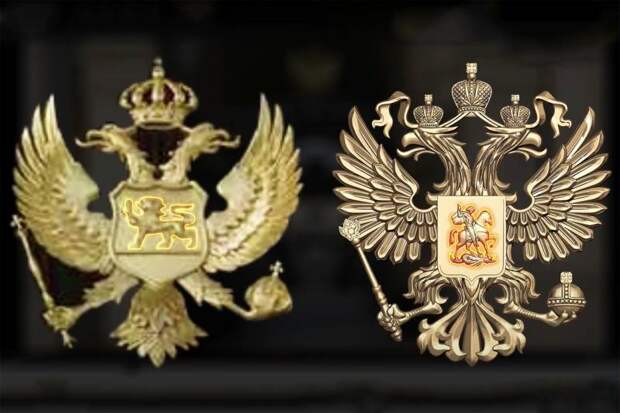 Фиаско дворцового переворота. Как «берлинский пациент» пытался российскую власть свергнуть