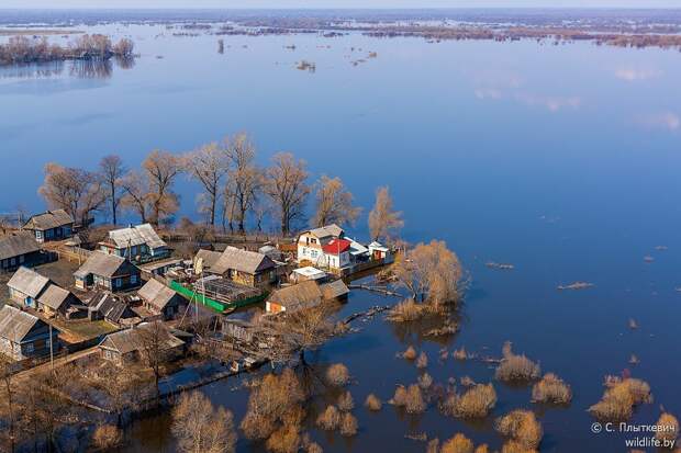 Белорусская «Амазония» удивила иностранцев