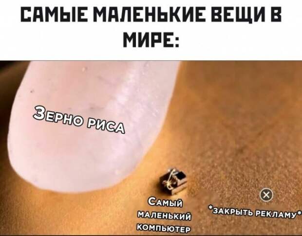 Самые маленькие вещи