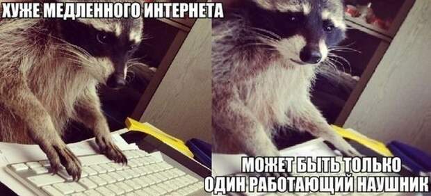 Картинки со смешными подписями