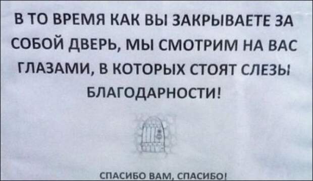 Прикольные объявления, вывески и реклама (23 фото)