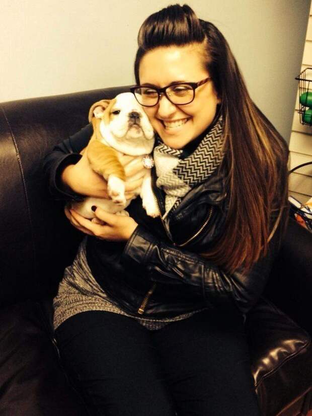 17 потрясающе милых собачек в морщинках