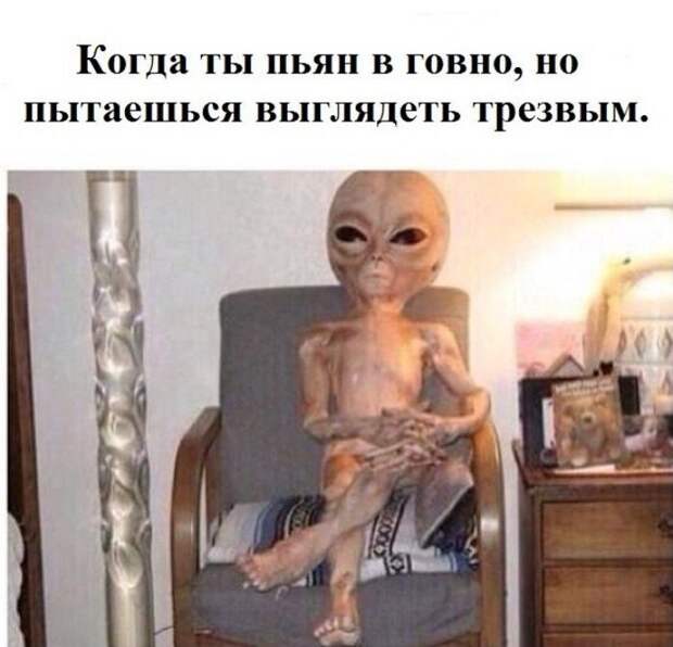 Ситуации, которые поймут люди, которые хотя бы раз в жизни напивались Ситуации, которые поймут люди, которые хотя бы раз в жизни напивались