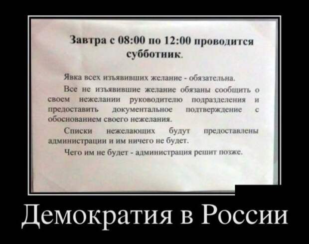 Обо всём.