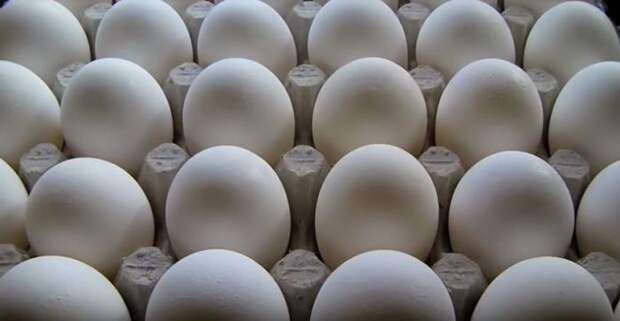 Берем яйца. /Фото: youtube.com.