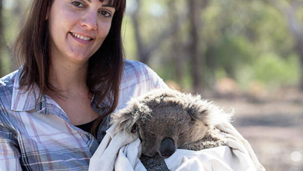 Экологи рассказали, как можно спасти коал от вымирания