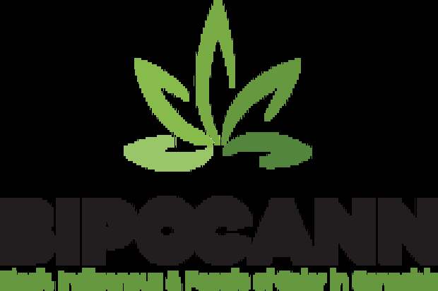 Social Responsibility and Supporting BIPOC in Cannabis:  A Q&A with Ernest Toney, Founder of BIPOCANN