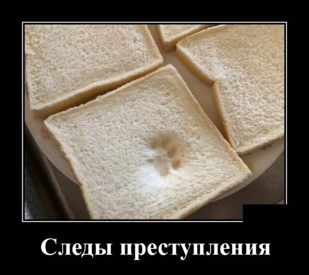 Демотиваторы (30 фото)
