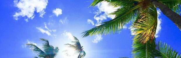 Реконструкция аэропорта и новые курорты: планы по туризму в Карагандинской области