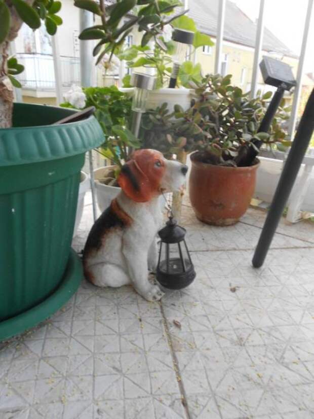 Весна 2014. Собачка держит фонарик на солнечных батарейках