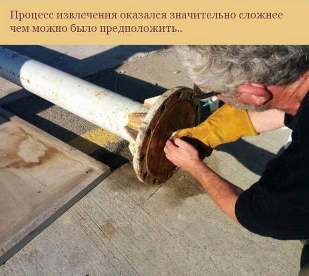 кот