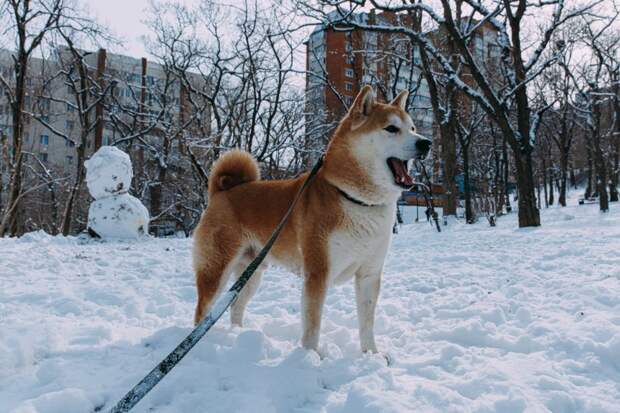 Приморье попадёт под удар циклона в выходные