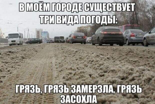 Забавные автоприколы