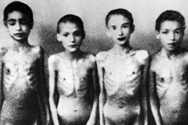 Фотография детей-заключенных, сделанная в 40-х годах по заказу лагерного врача Йозефа Менгеле, который проводил эксперименты на детях и близнецах аушвиц, вторая мировая война, день памяти, конц.лагерь, концентрационный лагерь, освенцим, узники, холокост