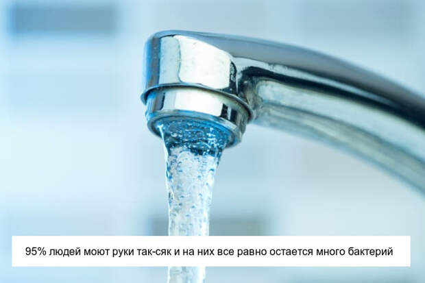 Неприятные факты, которые пополнят ваши знания (17 фото)