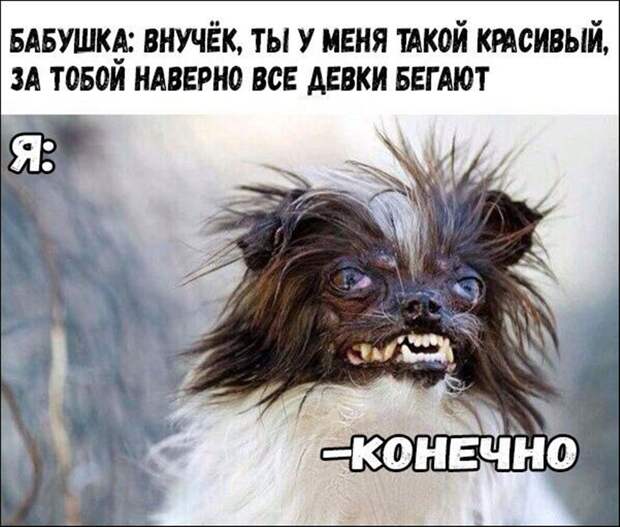 Смешная галерея фотоприколов # 133