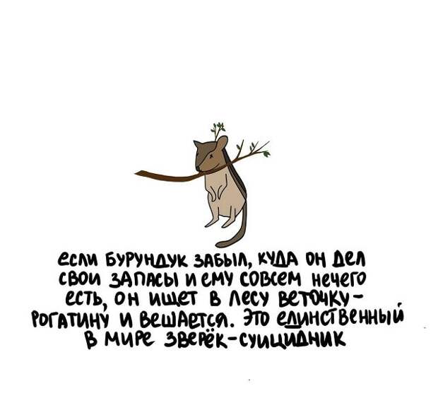 Самые разные короткие факты на все случаи жизни