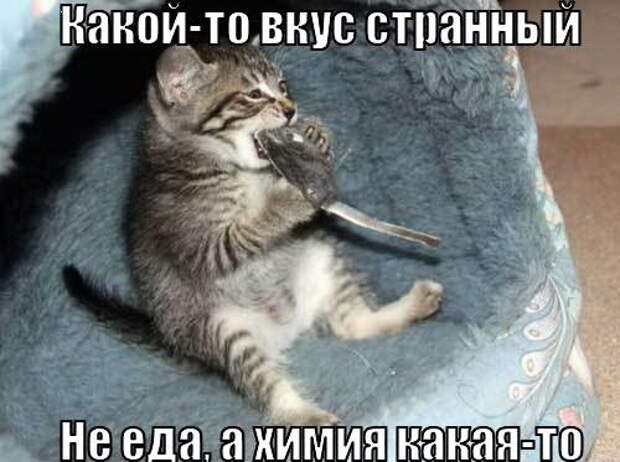 Похожее изображение