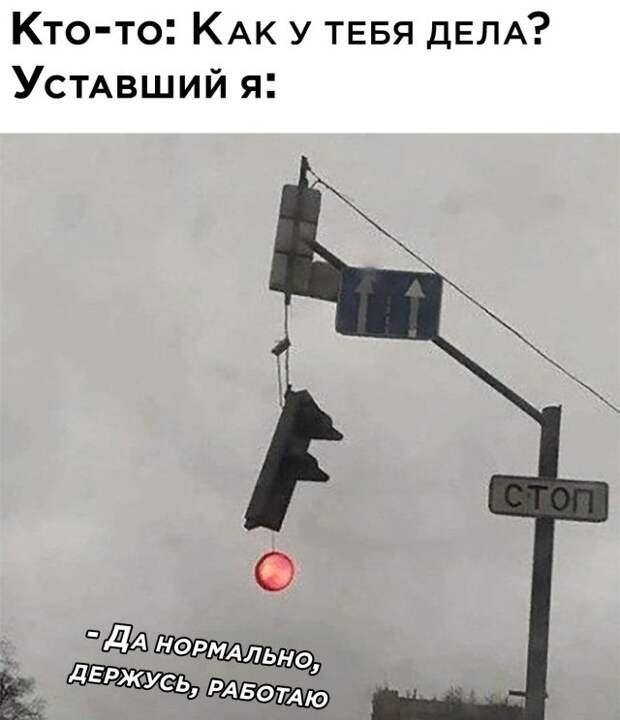 Смешные фото вечер 9 февраля 2021