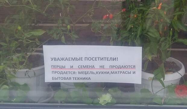 Подборка картинок (20 фото)