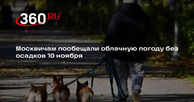 Гидрометцентр: в Москве ожидается облачная погода и +6 градусов тепла 10 ноября