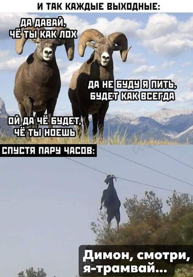Димон смотри ) Димон смотри )