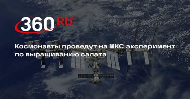 Космонавты проведут на МКС эксперимент по выращиванию салата