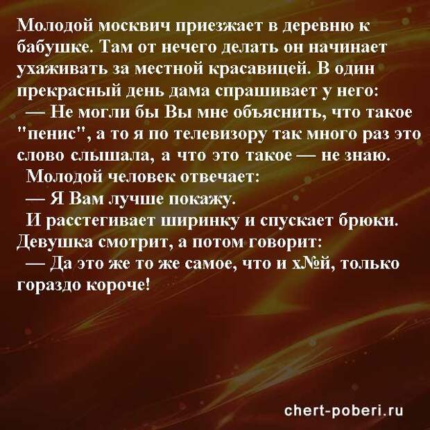Самые смешные анекдоты ежедневная подборка chert-poberi-anekdoty-chert-poberi-anekdoty-08270203102020-14 картинка chert-poberi-anekdoty-08270203102020-14