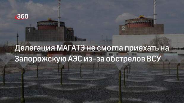 Вишневецкий: делегация МАГАТЭ не может приехать на Запорожскую АЭС из-за обстрелов ВСУ