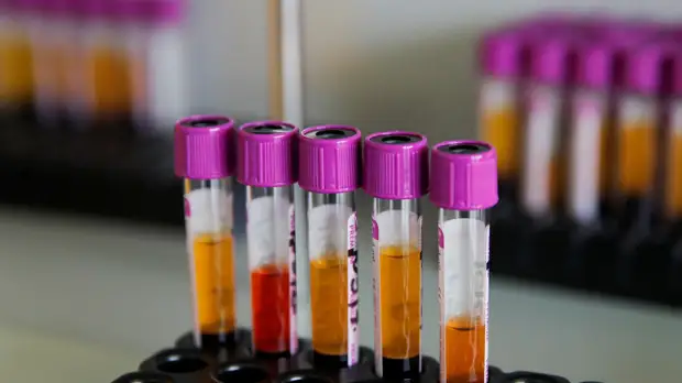 В Хакасии выявлен крупный очаг заражения коронавирусом