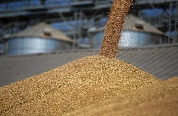 Грозит ли миру голод из-за нехватки украинского зерна?