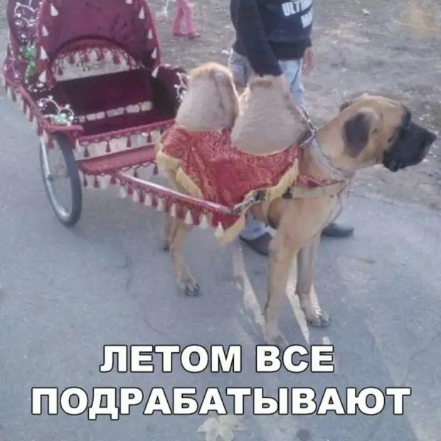 - А вы знаете, почему рыбы молчат? Чтобы рыбака не спугнуть. А то кто им ещё вкусняшек принесёт! - А вы знаете, почему рыбы молчат? Чтобы рыбака не спугнуть. А то кто им ещё вкусняшек принесёт! потом, через, сразу, перед, дамочка, Поднимаясь, только, словами, Люблю…, куплю, дурак, конечноМужик, наигравшись, вдоволь, танчики, заходит, опочивальню, Кисюня, спишь, боекомплект