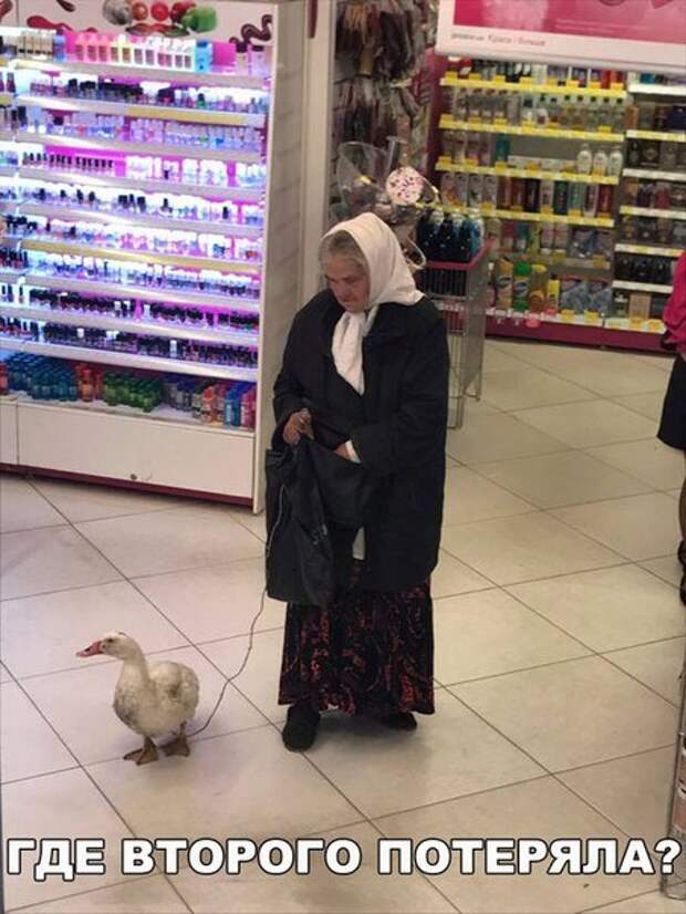 Прикольные фотомемы (26 шт)
