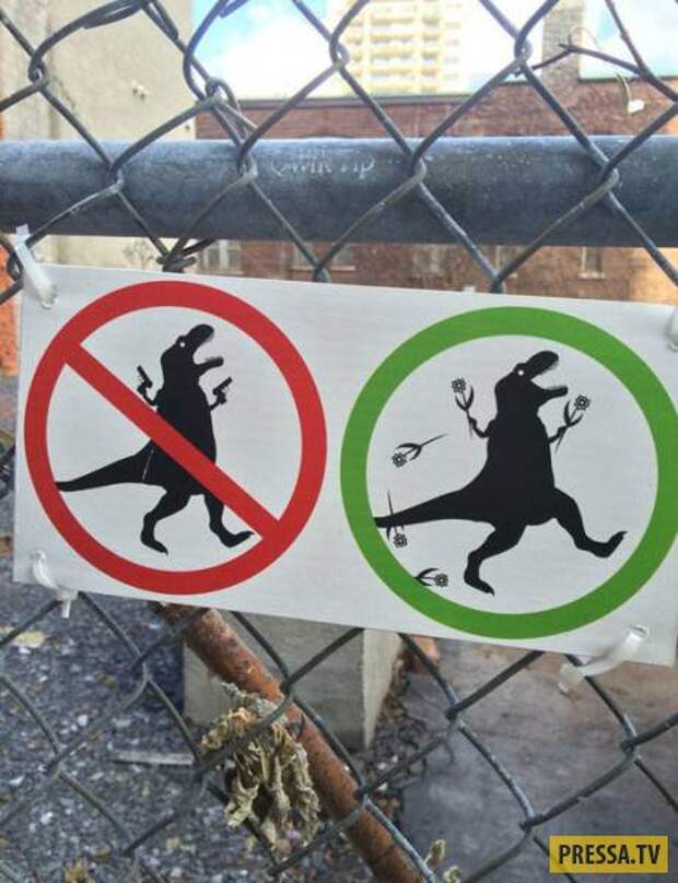Прикольные фотографии