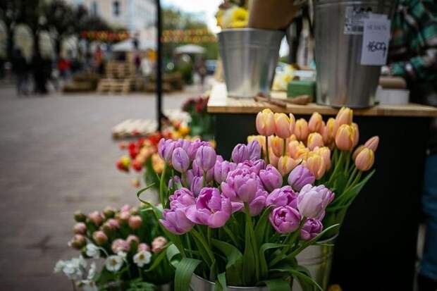 Смолянки 8 марта получили более 1500 тюльпанов