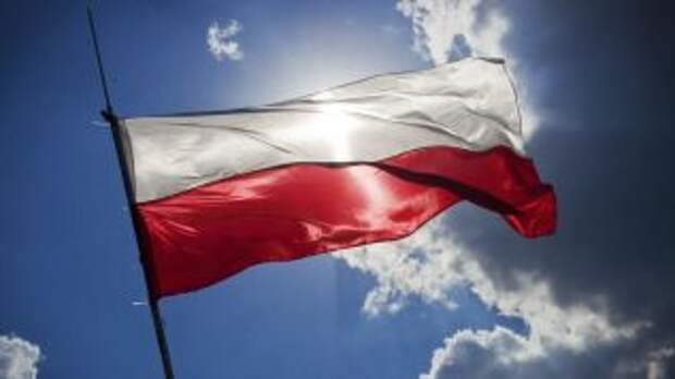Польша намерена требовать выполнить Минские соглашения во время председательства в ОБСЕ в 2022 году