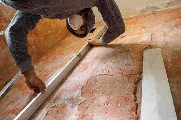 Россиянам с яйцами в стенах дали совет