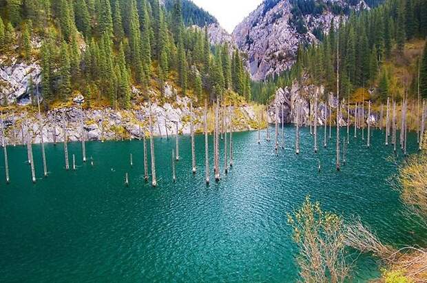 Затопленный лес озера Каинды, Кайнды, (Lake Kaindy), Казахстан