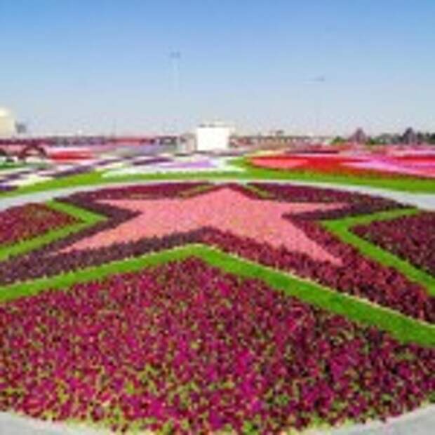 Dubai Miracle Garden