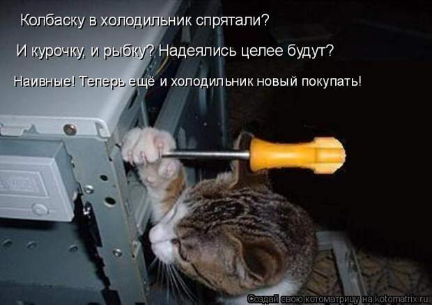 Колбаску в холодильник спрятали?  И курочку, и рыбку? Надеялись целее будут? Наивные! Теперь ещё и холодильник новый покупать!