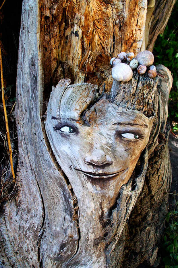 TreeProject01 Забавные лица в лесу