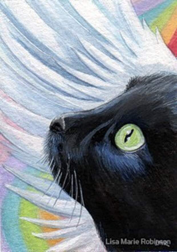 Коллекция кошек, котов и котят от Lisa Marie Robinson.