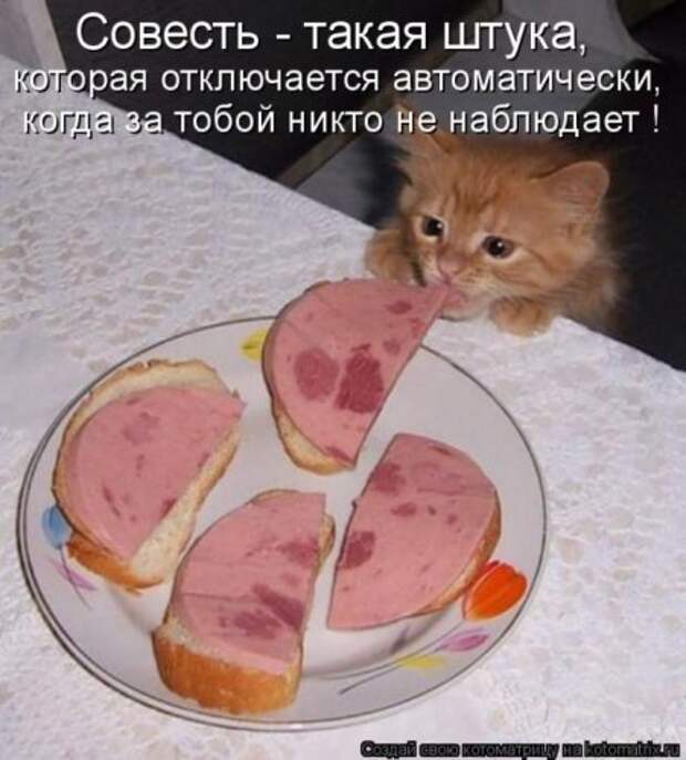 Забавные котоматрицы