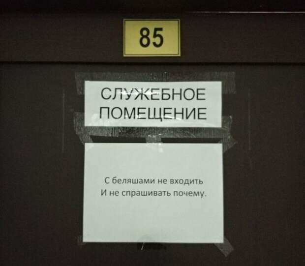 Объявления на улицах города