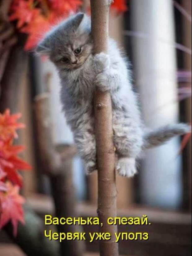 84d584ec63431129d1f04c4b82e