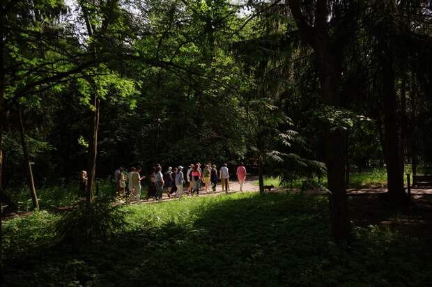 Reading Camp