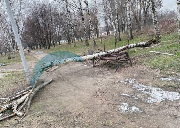 Дерево упало на лавочку в сквере возле остановки "22 линия" в