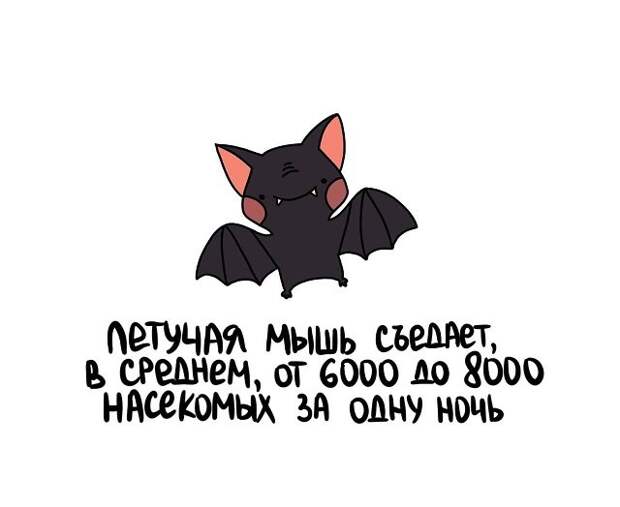 Любопытные коротенькие факты на все случаи жизни