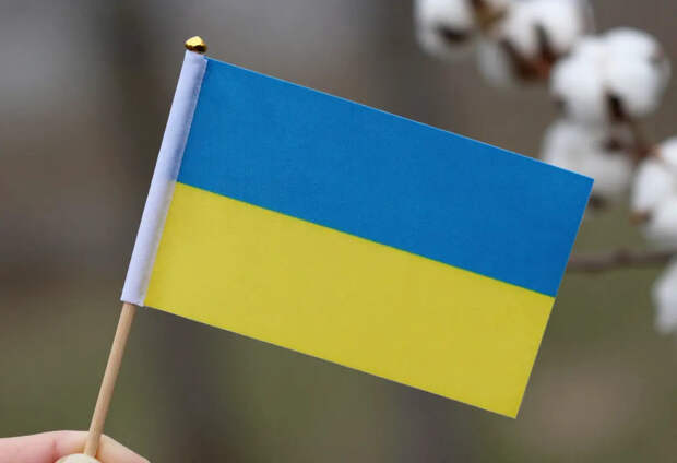 Слебода: украинская сторона ведет себя невменяемо на переговорах с Россией